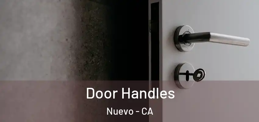  Door Handles Nuevo - CA