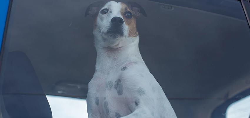 Car Lockout Solutions in Nuevo, California