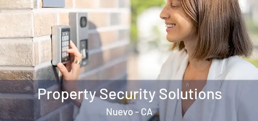 Property Security Solutions Nuevo - CA